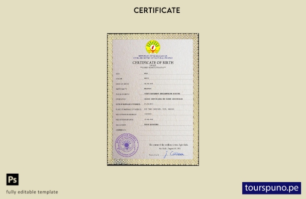 Plantilla PSD de certificado de nacimiento de Madagascar listo para imprimir
